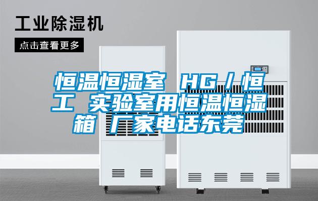 恒溫恒濕室 HG/恒工 實驗室用恒溫恒濕箱 廠家電話東莞