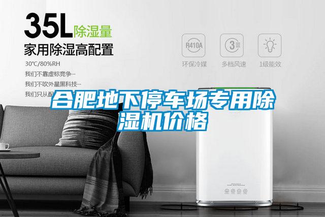合肥地下停車場專用除濕機價格