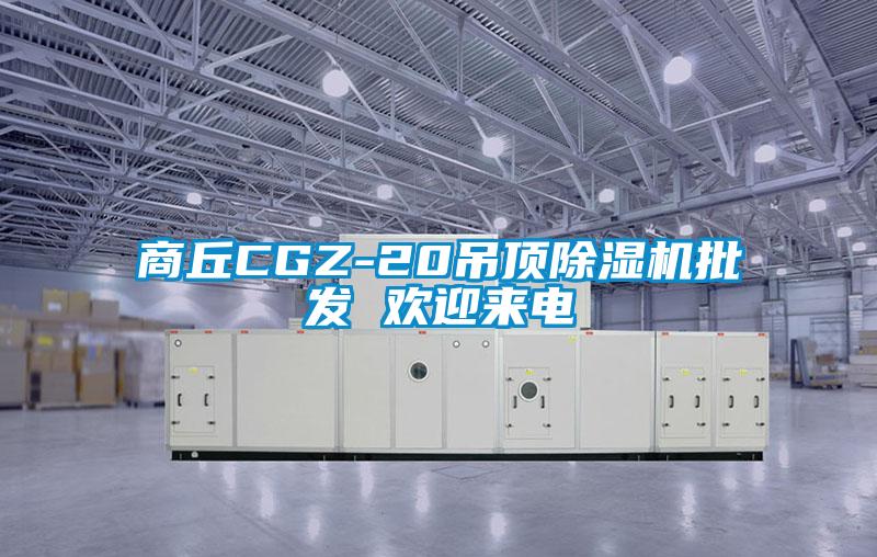 商丘CGZ-20吊頂除濕機(jī)批發(fā) 歡迎來(lái)電