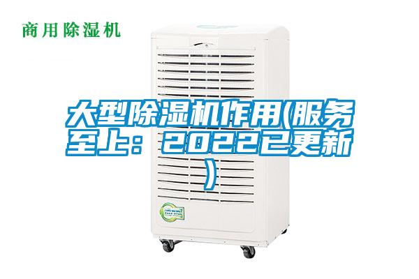 大型除濕機作用(服務至上：2022已更新)