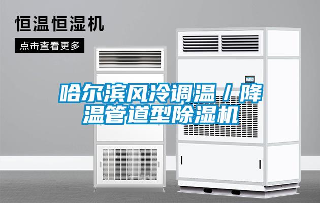 哈爾濱風冷調溫/降溫管道型除濕機