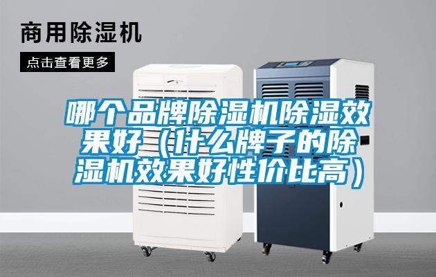 哪個品牌除濕機除濕效果好(什么牌子的除濕機效果好性價比高)