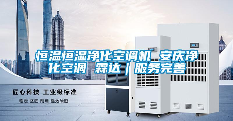 恒溫恒濕凈化空調(diào)機(jī) 安慶凈化空調(diào) 霖達(dá)｜服務(wù)完善