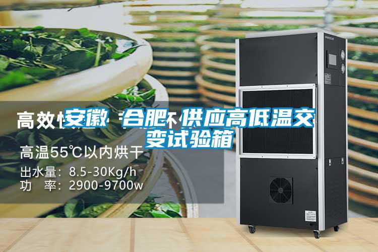 安徽 合肥 供應(yīng)高低溫交變?cè)囼?yàn)箱