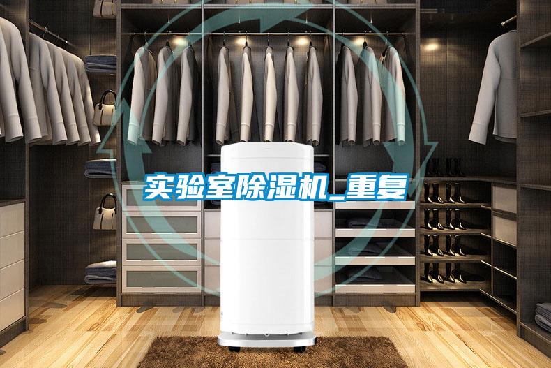 實驗室除濕機(jī)_重復(fù)