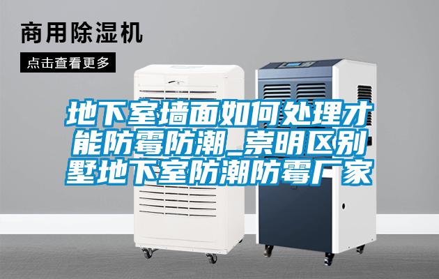 地下室墻面如何處理才能防霉防潮_崇明區(qū)別墅地下室防潮防霉廠家