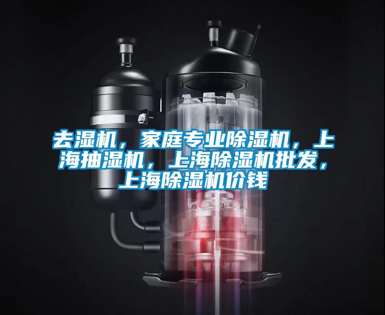 去濕機，家庭專業除濕機，上海抽濕機，上海除濕機批發，上海除濕機價錢