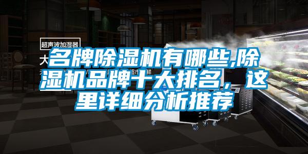 名牌除濕機有哪些,除濕機品牌十大排名,這里詳細分析推薦