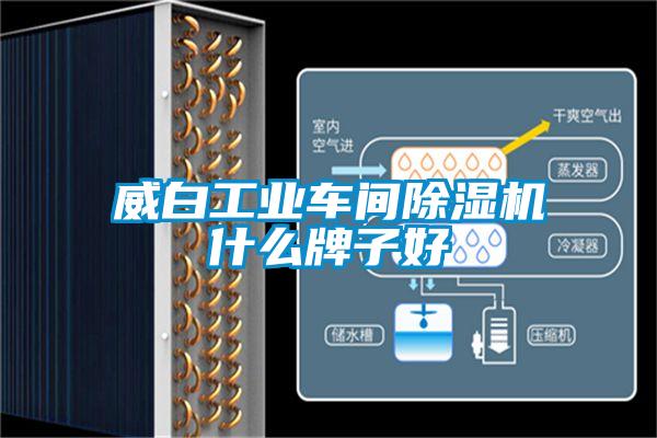 威白工業(yè)車間除濕機(jī)什么牌子好