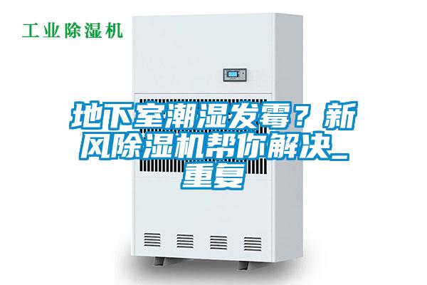 地下室潮濕發霉？新風除濕機幫你解決_重復