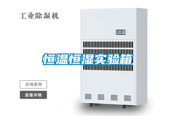 恒溫恒濕實驗箱