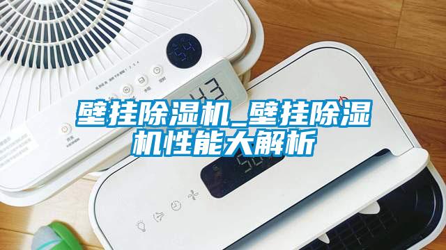 壁掛除濕機_壁掛除濕機性能大解析