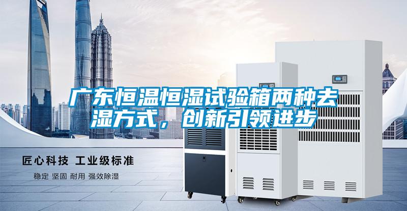 廣東恒溫恒濕試驗(yàn)箱兩種去濕方式，創(chuàng)新引領(lǐng)進(jìn)步