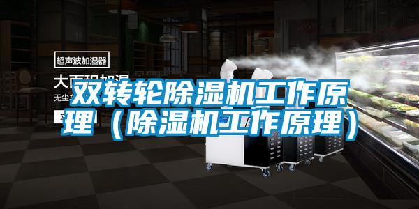 雙轉輪除濕機工作原理(除濕機工作原理)