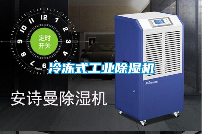 冷凍式工業除濕機