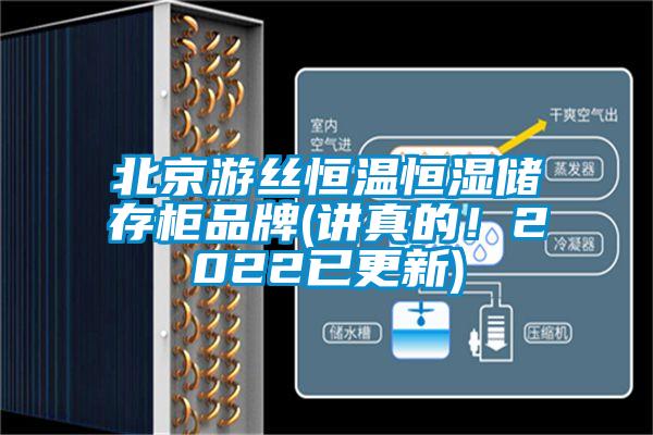 北京游絲恒溫恒濕儲存柜品牌(講真的!2022已更新)