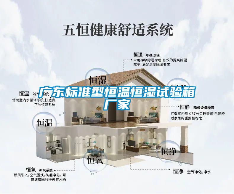 廣東標(biāo)準(zhǔn)型恒溫恒濕試驗(yàn)箱廠家