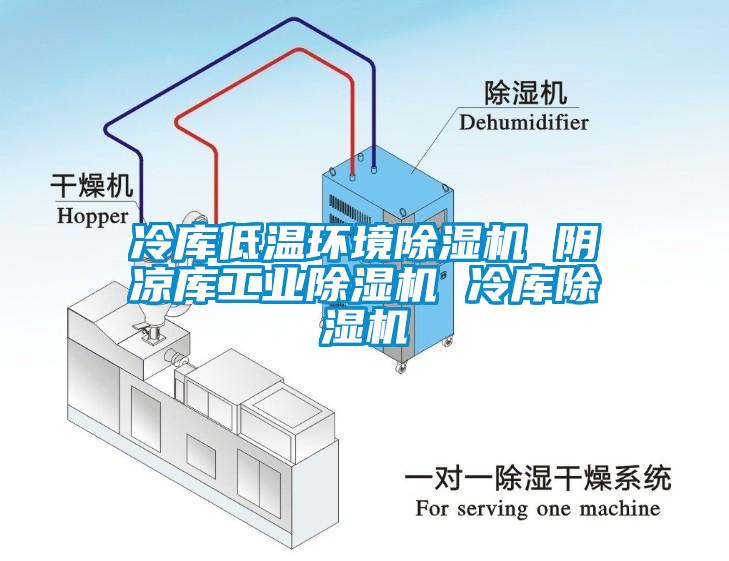 冷庫低溫環境除濕機 陰涼庫工業除濕機 冷庫除濕機