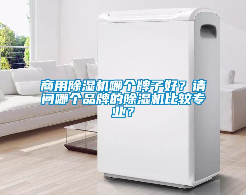 商用除濕機哪個牌子好？請問哪個品牌的除濕機比較專業？