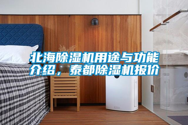 北海除濕機用途與功能介紹，泰都除濕機報價