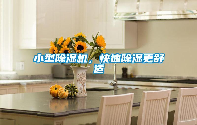 小型除濕機，快速除濕更舒適