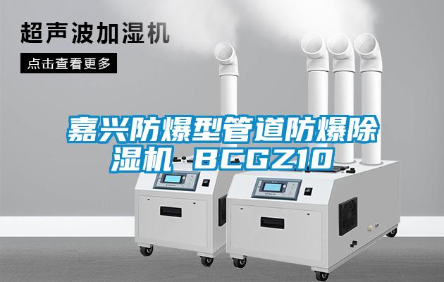 嘉興防爆型管道防爆除濕機 BCGZ10