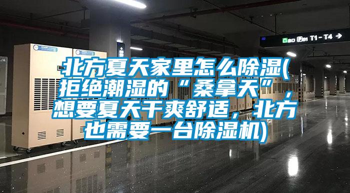 北方夏天家里怎么除濕(拒絕潮濕的“桑拿天”,想要夏天干爽舒適,北方也需要一臺除濕機)