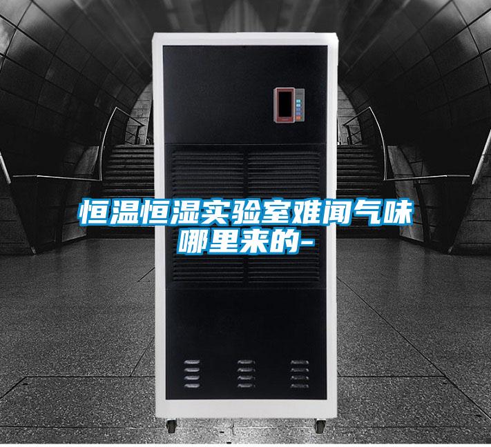 恒溫恒濕實驗室難聞氣味哪里來的-