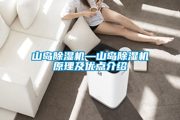 山島除濕機—山島除濕機原理及優點介紹