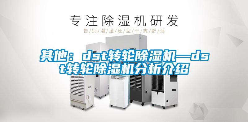 其他:dst轉輪除濕機—dst轉輪除濕機分析介紹