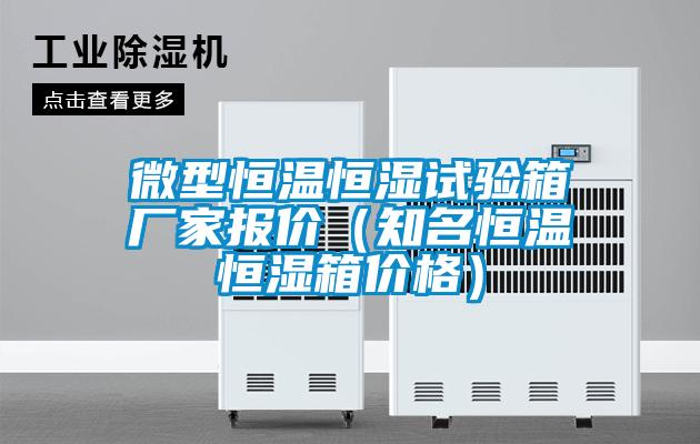 微型恒溫恒濕試驗箱廠家報價（知名恒溫恒濕箱價格）