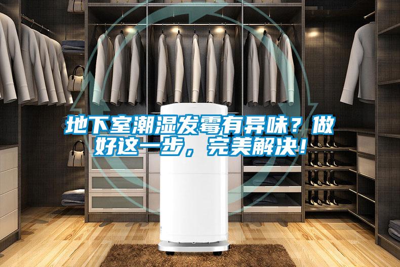 地下室潮濕發霉有異味？做好這一步，完美解決！