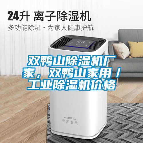雙鴨山除濕機(jī)廠家，雙鴨山家用／工業(yè)除濕機(jī)價(jià)格