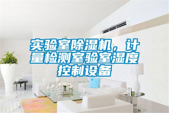 實(shí)驗(yàn)室除濕機(jī)，計(jì)量檢測室驗(yàn)室濕度控制設(shè)備