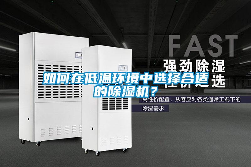 如何在低溫環境中選擇合適的除濕機？