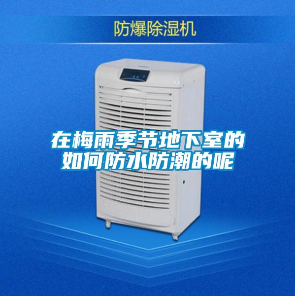 在梅雨季節地下室的如何防水防潮的呢