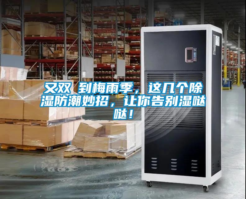 又雙叒到梅雨季，這幾個除濕防潮妙招，讓你告別濕噠噠！