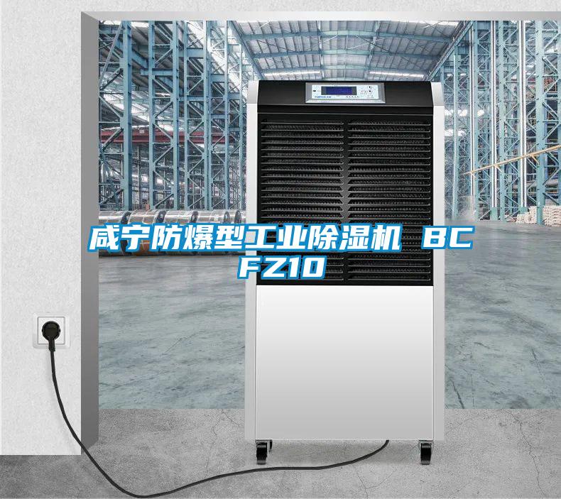 咸寧防爆型工業除濕機 BCFZ10