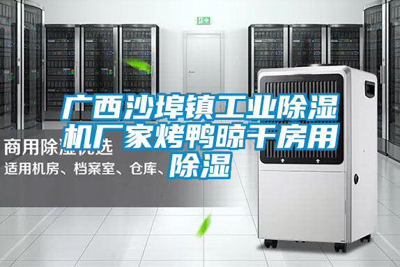 廣西沙埠鎮工業除濕機廠家烤鴨晾干房用除濕