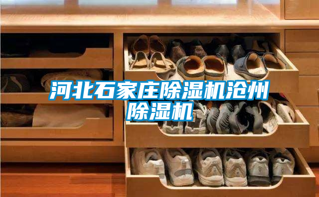 河北石家莊除濕機(jī)滄州除濕機(jī)
