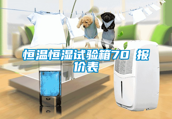 恒溫恒濕試驗箱70℃報價表