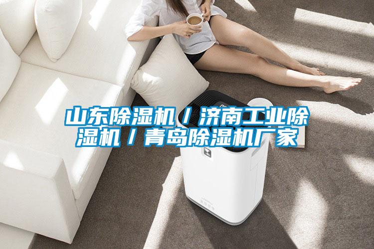 山東除濕機/濟南工業除濕機/青島除濕機廠家
