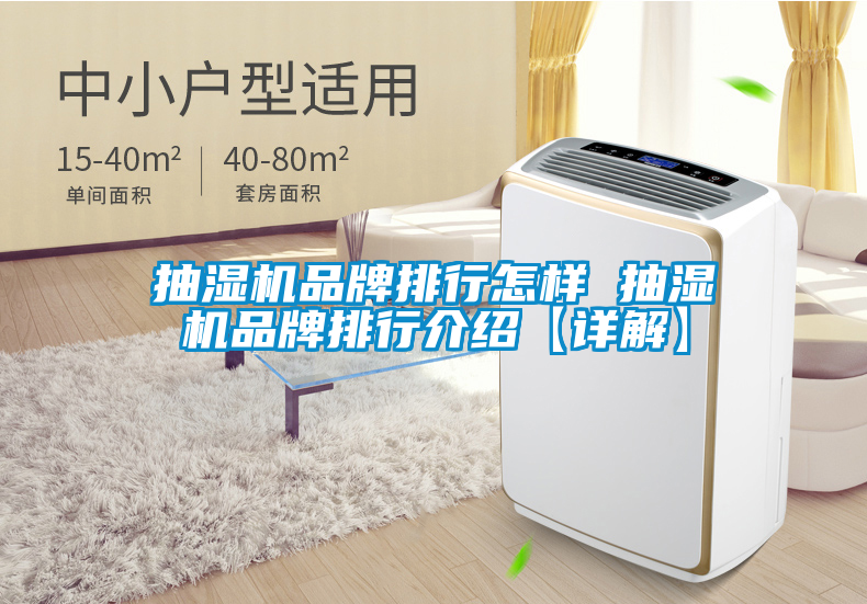 抽濕機品牌排行怎樣 抽濕機品牌排行介紹【詳解】