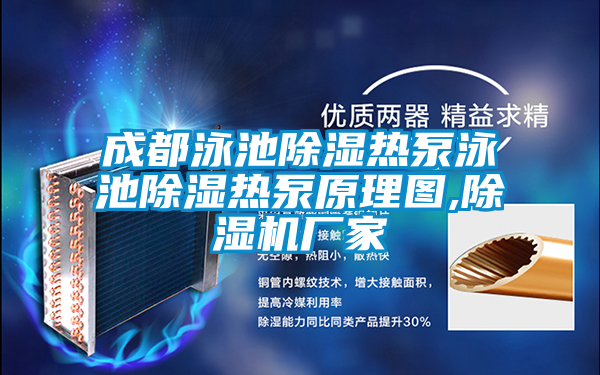 成都泳池除濕熱泵泳池除濕熱泵原理圖,除濕機廠家
