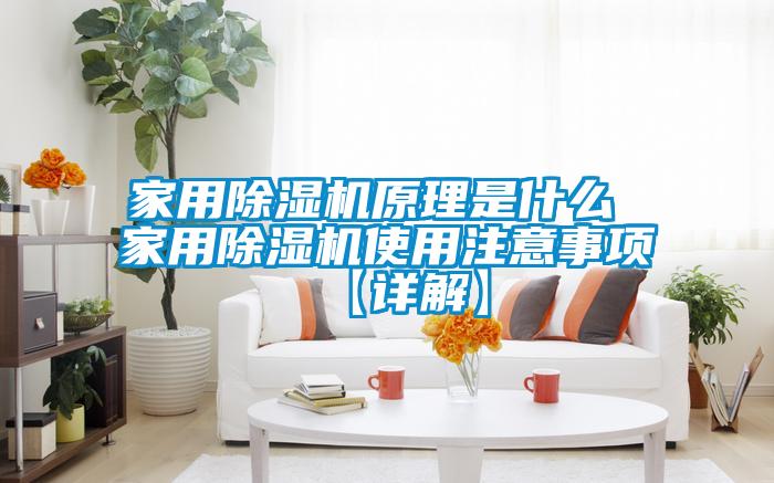 家用除濕機原理是什么 家用除濕機使用注意事項【詳解】