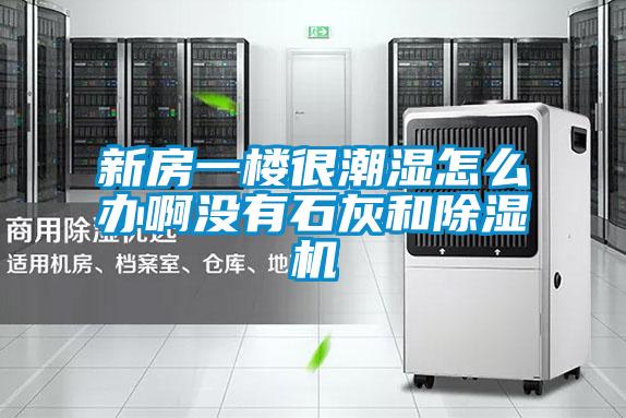 新房一樓很潮濕怎么辦啊沒有石灰和除濕機