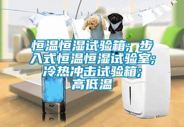 恒溫恒濕試驗箱; 步入式恒溫恒濕試驗室; 冷熱沖擊試驗箱; 高低溫
