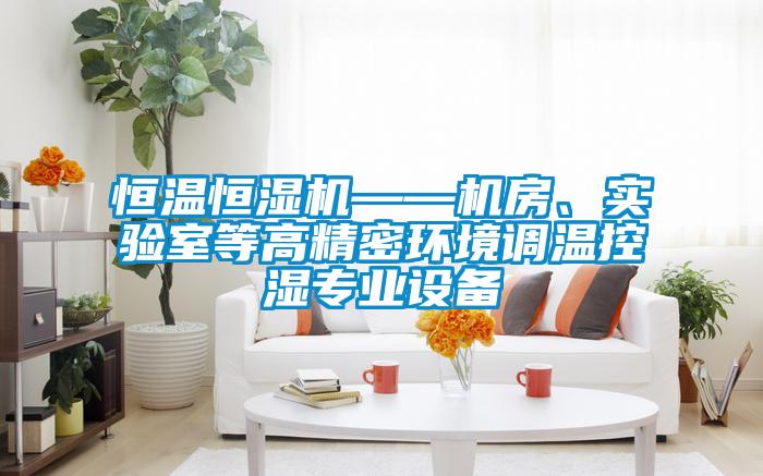 恒溫恒濕機——機房、實驗室等高精密環境調溫控濕專業設備