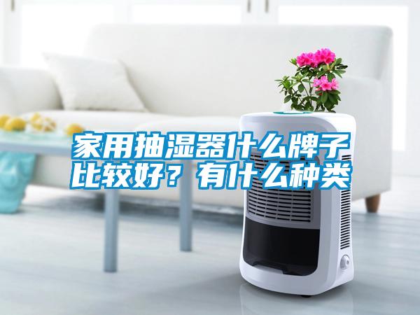 家用抽濕器什么牌子比較好？有什么種類