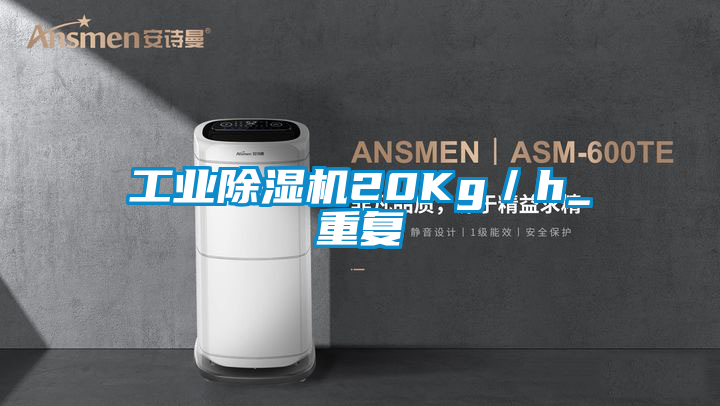 工業除濕機20Kg／h_重復